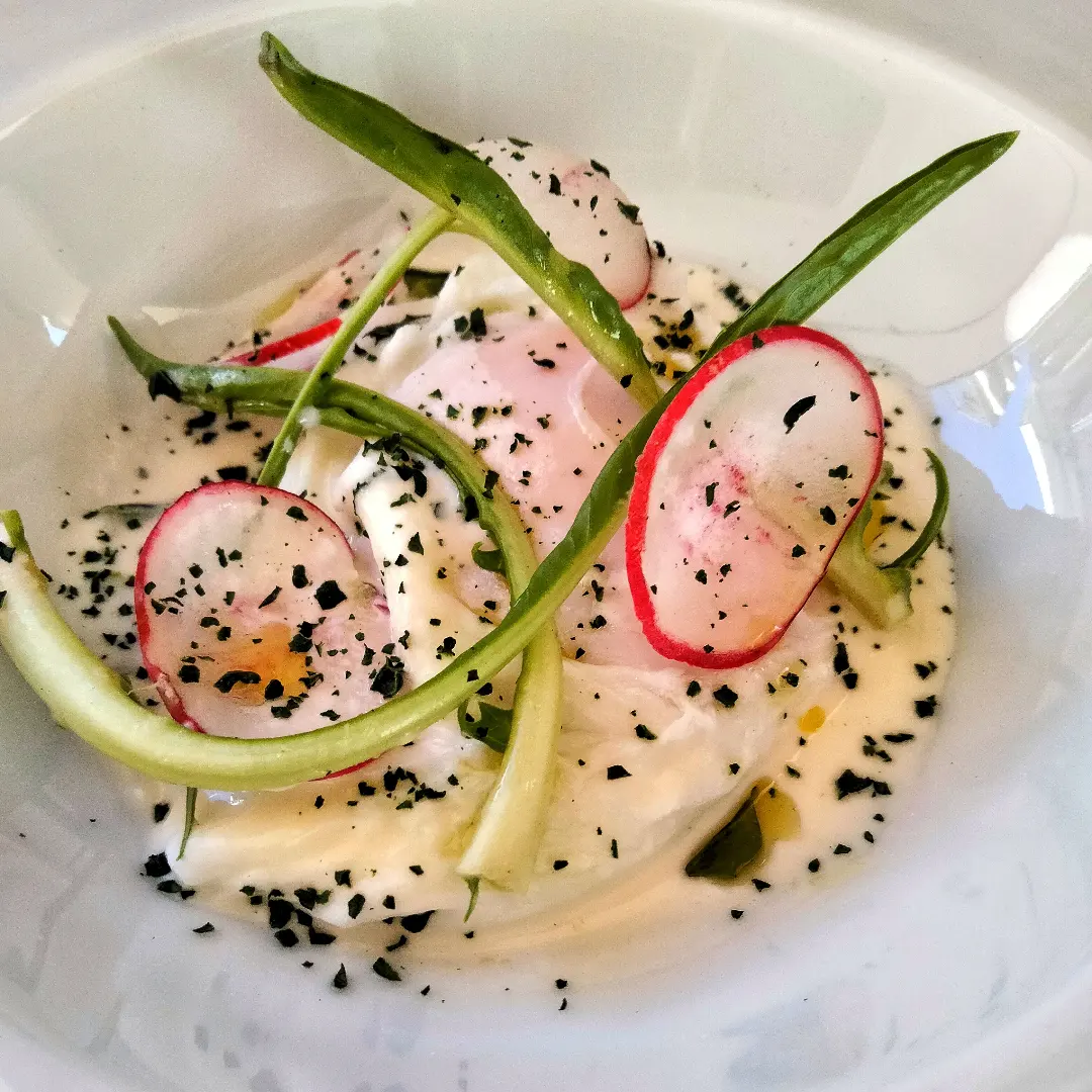 Delicate antipasto with greens and radish